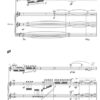 Anamorphosen für Flöte und Gitarre – Bild 5