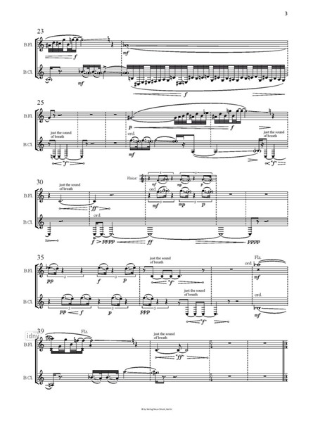 Auslaufen der Zeit IV für Bassflöte/Piccolo, Bassklarinette/Klarinette in B und Samples auf zwei Smartphones (2022)