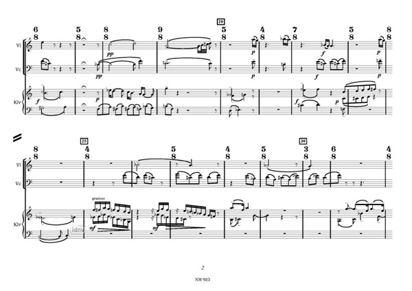 Schmozart für Violine, Violoncello und Klavier (2006) Schmozart für Violine, Violoncello und Klavier (2006)