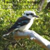 9 Australian Songs für Sopran und Flöte