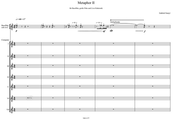 METAPHOR II für Bassflöte, große Flöte und Live-Elektronik (1 Spieler) METAPHOR II für Bassflöte, große Flöte und Live-Elektronik (1 Spieler)