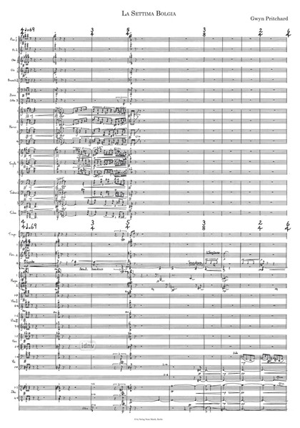 La Settima Bolgia für Orchester (1989)