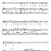 Tschechische Lieder für Singstimme und Klavier – Bild 2