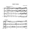 Buddy's Samba für Ssaxophon Quartett – Bild 2