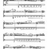 Bach-Triptychon für Blockflöte und Fagott (2013) - Image 4