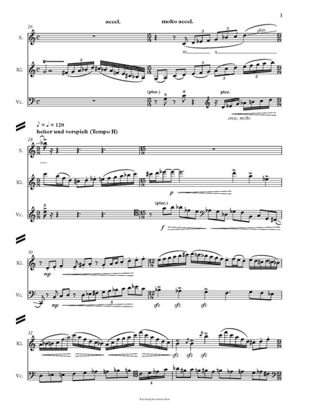 Manchmal fühlt sie: Das Leben ist groß für hohe Stimme (Sopran), Klarinette in B und Violoncello (2016) Manchmal fühlt sie: Das Leben ist groß für hohe Stimme (Sopran), Klarinette in B und Violoncello (2016)