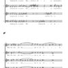 Sieben Lieder auf Gedichte von Theodor Fontane für gemischten Chor a cappella (2017) - Image 3