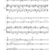 Trio-Fantasie für Klarinette, Violine und Klavier – Bild 4