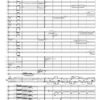 ...denn ich steure mit meinen Genossen über das dunkle Meer zu unverständlichen Völkern... für Akkordeon und Orchester (2011) - Image 3