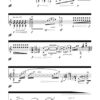 Felcino Bianco for Guitar and Recording (2016) - Image 3