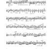 Strawinskana für Violine solo – Bild 2