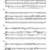 Stone Wind III für Klarinette (in B, Es, Bassklarinette), Akkordeon und Violoncello - Image 3