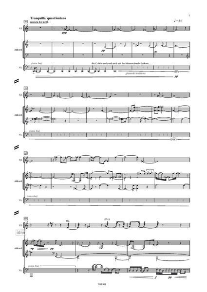 Stone Wind III für Klarinette (in B, Es, Bassklarinette), Akkordeon und Violoncello