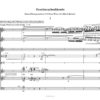 Geschmacksakkorde für Flöte, Klarinette (auch Bassklarinette), Harfe, Schlagzeug und Violoncello (2016) – Bild 2