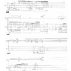 Quabara für Didgeridoo und Percussion (1987-88) - Image 3
