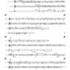Trauerfelder für Percussion-Quartett (1995) - Image 2