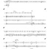 Trauerfelder für Percussion-Quartett (1995) - Image 3