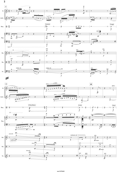 Mouches Volantes für Ensemble (2015) Mouches Volantes für Ensemble (2015)