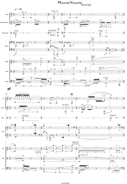 Mouches Volantes für Ensemble (2015) Mouches Volantes für Ensemble (2015)