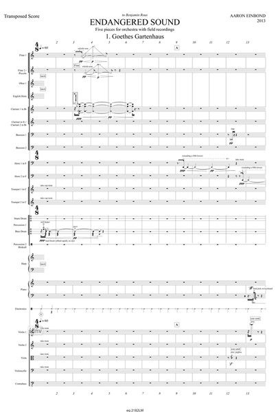 Endangered Sound für Orchester und Fieldrecordings (2013) Endangered Sound für Orchester und Fieldrecordings (2013)