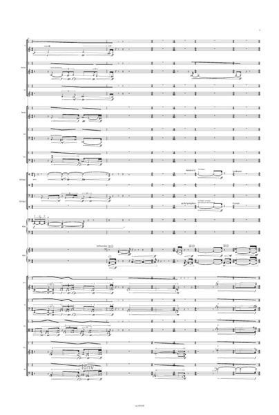 schraffur für Vierteltonakkordeon und Ensemble (2017) schraffur für Vierteltonakkordeon und Ensemble (2017)