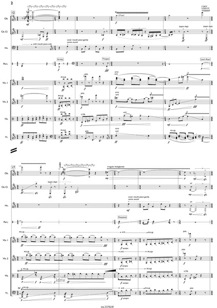Capitaine Nemo für Ensemble (2015) Capitaine Nemo für Ensemble (2015)