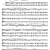 Mazurka Op. 3 Nr. 4 (1889) für Marimba und Akkordeon (2020) – Bild 2