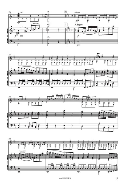 Fantasia Concertante für Solo-Gitarre und Streichorchester Fantasia Concertante für Solo-Gitarre und Streichorchester