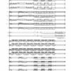 11 Charakterskizzen für Orchester (2022) – Bild 3