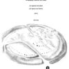 Avebury Stone Circles für Sopran und Klavier (2013)