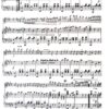 Der verliebte Toreador für Salon-Orchester – Bild 3