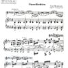 Nordische Mädchen für Salonorchester - Image 2