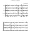 Hamburgensie op.116 für Streichquintett (2015)