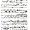 In Tüll und Spitzen für Salon-Orchester - Image 5