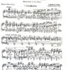 In Tüll und Spitzen für Salon-Orchester - Image 2