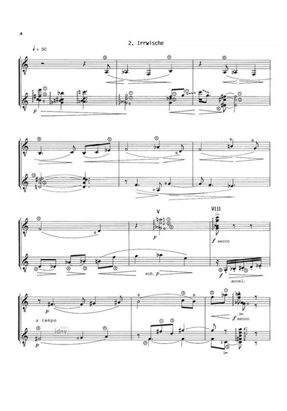 Naturgeister für zwei Gitarren op. 28 Naturgeister für zwei Gitarren op. 28