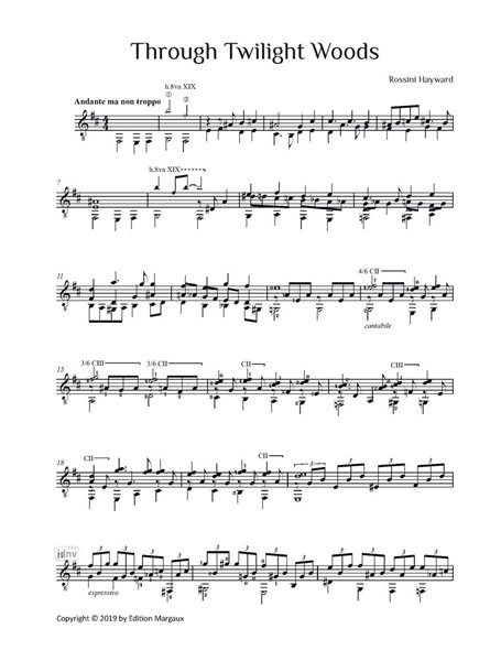 Through Twilight Woods für Gitarre solo Through Twilight Woods für Gitarre solo