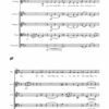Ich wandre durch Theresienstadt bearbeitet für Streichquartett und (tiefe/mittlere) Singstimme - Image 2