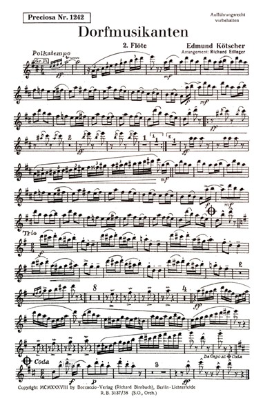 Dorfmusikanten / Hexenpolka für Salon-Orchester Ergänzungsstimmen großes Orchestesr Dorfmusikanten / Hexenpolka für Salon-Orchester Ergänzungsstimmen großes Orchestesr