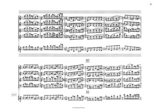 Auf den Sa(e)iten für Streichquartett und Gitarre Auf den Sa(e)iten für Streichquartett und Gitarre