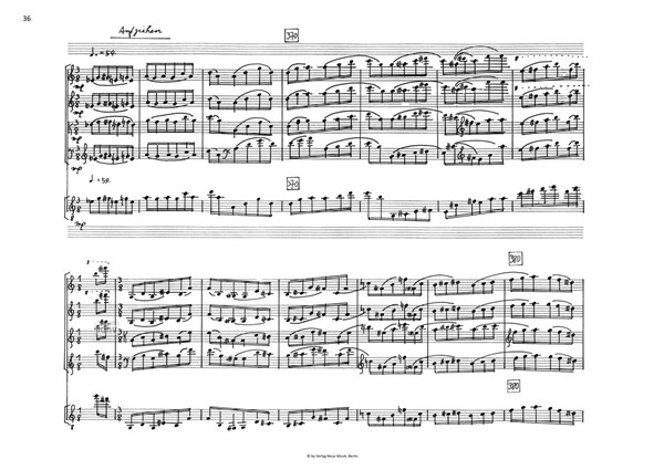 Auf den Sa(e)iten für Streichquartett und Gitarre Auf den Sa(e)iten für Streichquartett und Gitarre