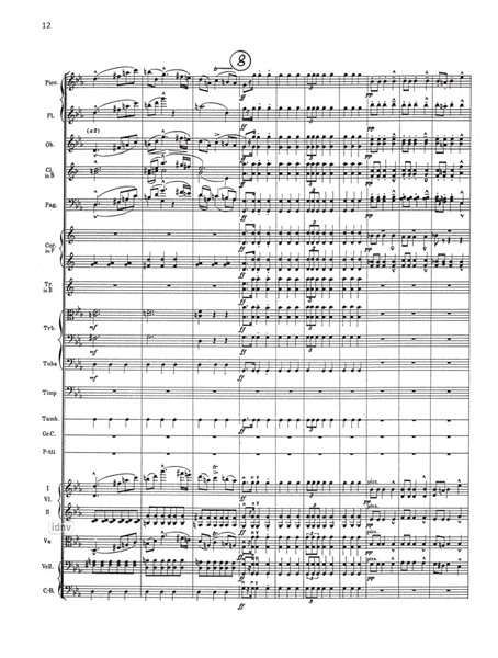 Mazurka für Orchester Mazurka für Orchester