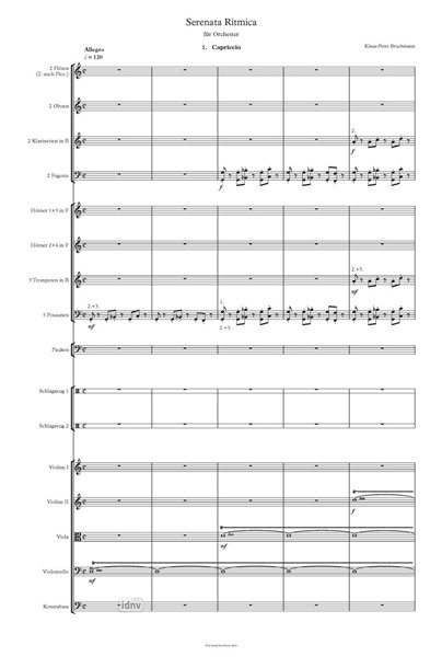 Serenata Ritmica für Orchester Serenata Ritmica für Orchester