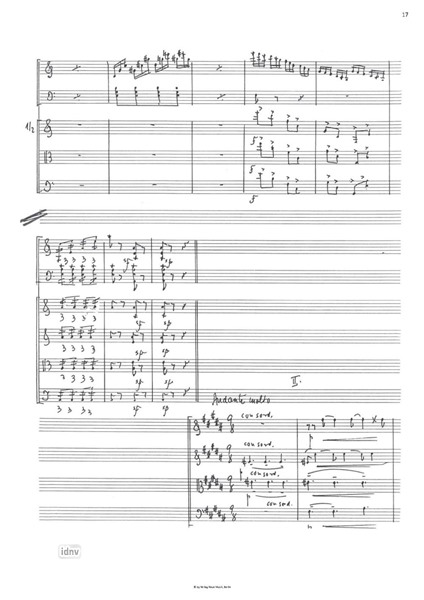 Concerto da camera für Akkordeon und Streichorchester Concerto da camera für Akkordeon und Streichorchester