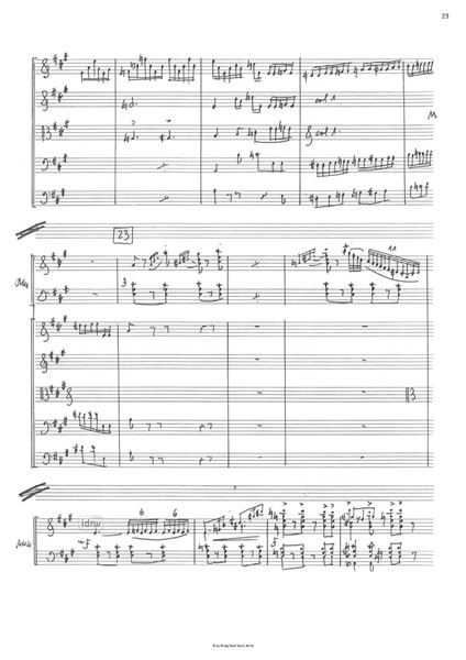 Concerto da camera für Akkordeon und Streichorchester Concerto da camera für Akkordeon und Streichorchester