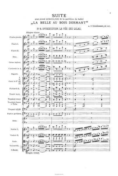 Dornröschen op. 66a für Orchester Dornröschen op. 66a für Orchester