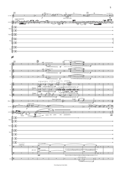 Izvir II für Sinfonieorchester und obligatorische Halbklarinette Izvir II für Sinfonieorchester und obligatorische Halbklarinette