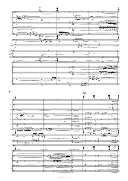 The Firmament of Time für Orchester (2008) The Firmament of Time für Orchester (2008)