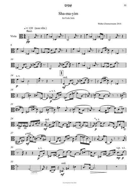 Skies - The Viola in Walter's Life für Viola solo (1993-2024) Skies - The Viola in Walter's Life für Viola solo (1993-2024)