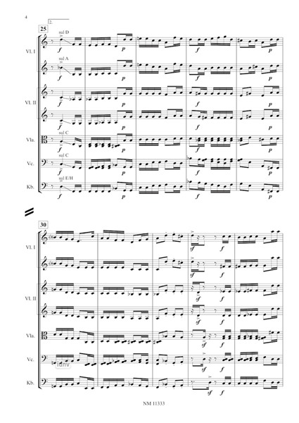 Händels Alptraum für Streichorchester (2011) Händels Alptraum für Streichorchester (2011)